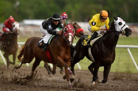 Save Idaho Horse Racing